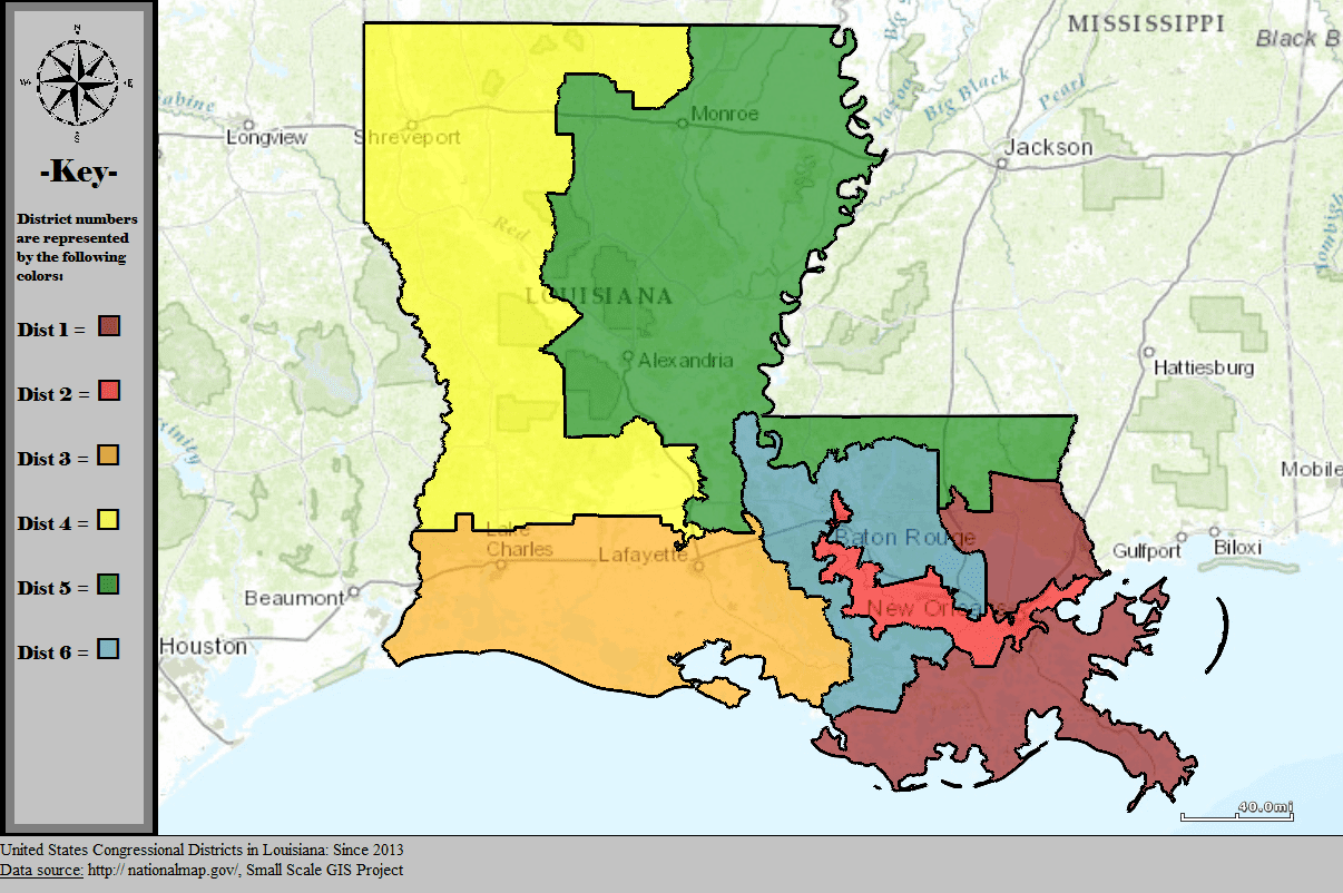 Two Democrats and Nine Republicans Vying For Late Congressman- Elect Luke Letlow’s Seat