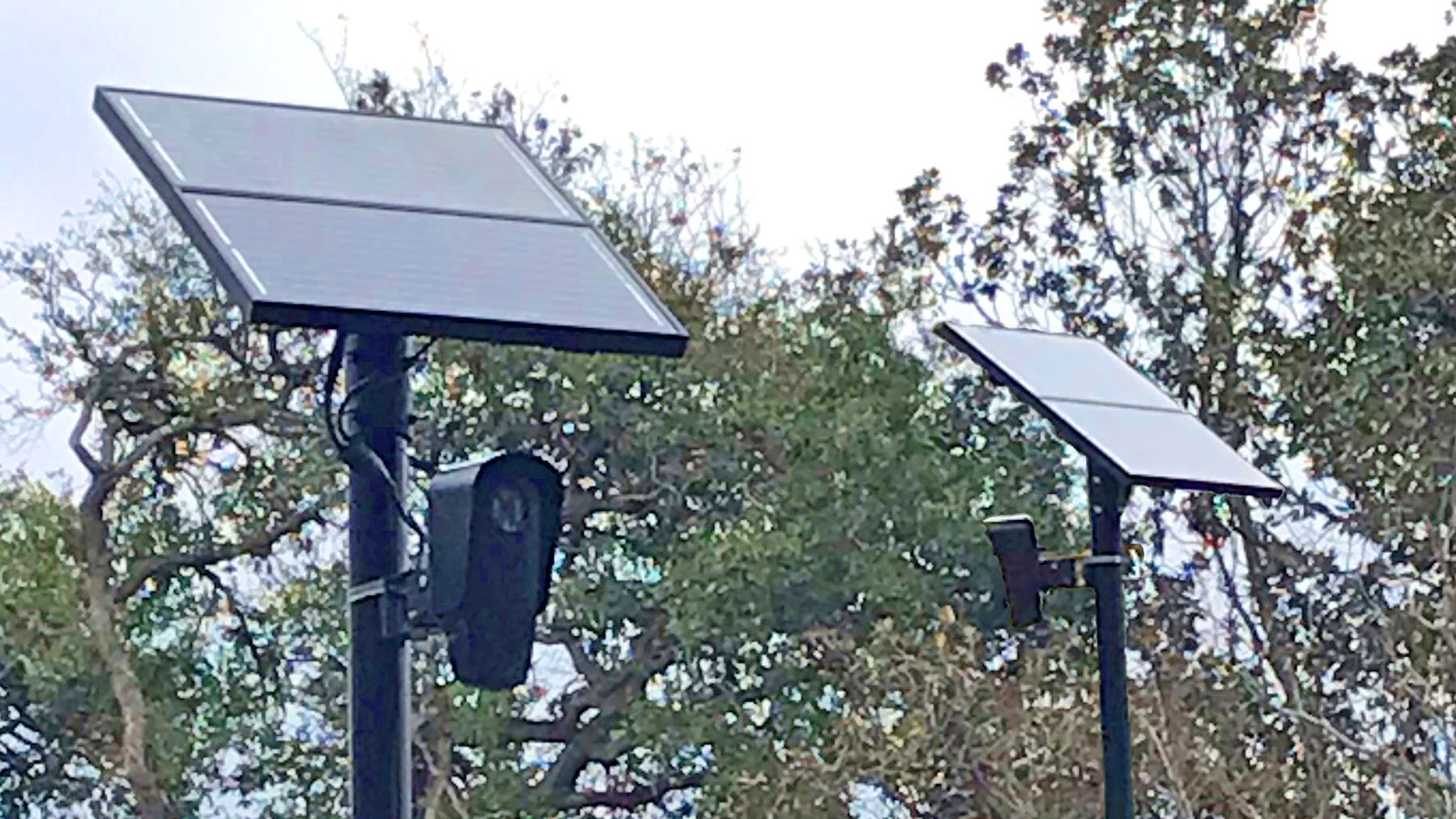 Peeping Toms in your Local Government? Citizens for a New Louisiana