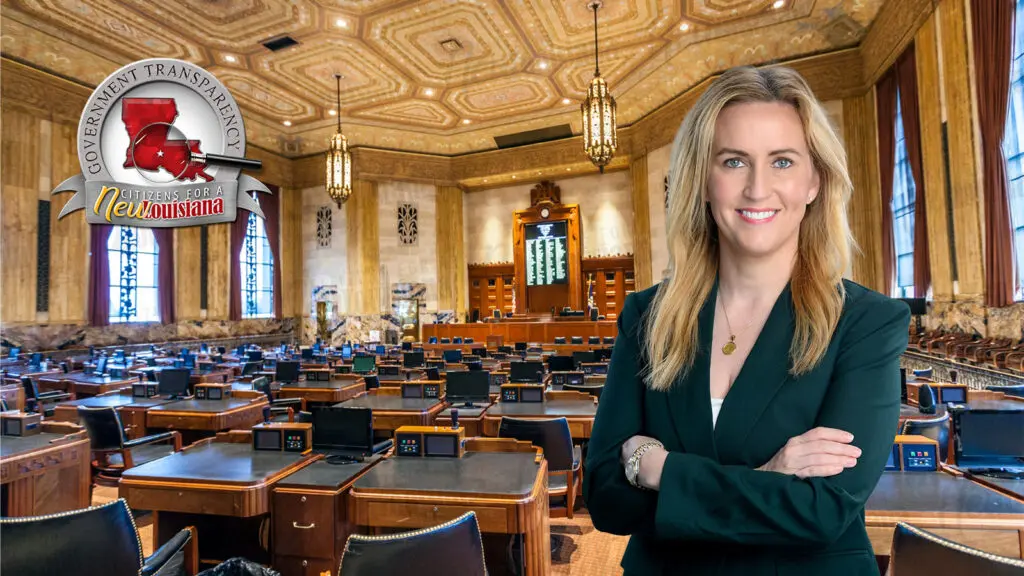 Julie Emerson - US Senate